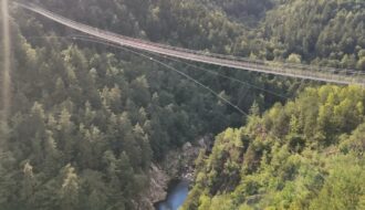 Cher journal (pas très) intime